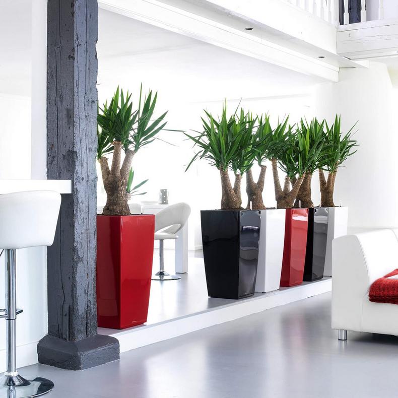 le_cubico40_product_addi_01